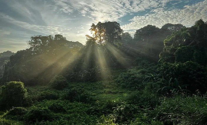 Singapore Seals Carbon Credit Deal with Philippines